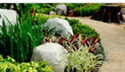 Landscape Irrigation Services