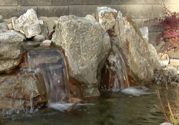 backyard water features in Calgary garden