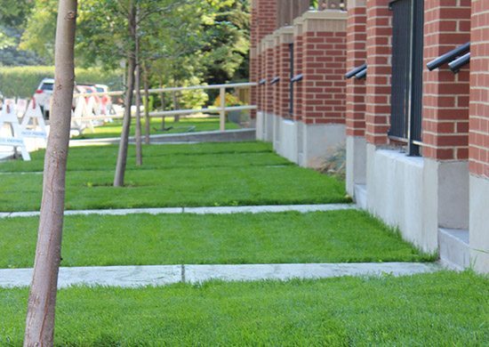 Services Sprinkler Blowouts