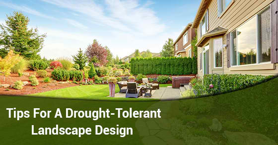 Landscape Design