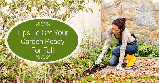 Garden Plans
